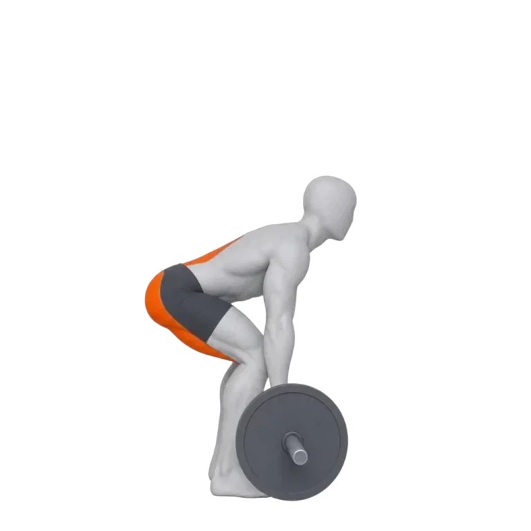 Barbell Deadlift demonstration